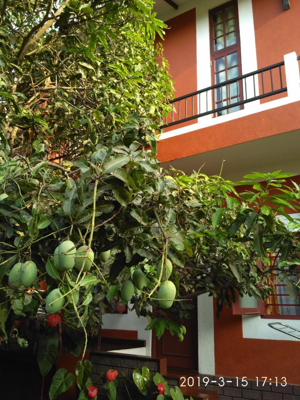 Nilas Guesthouse Hikkaduwa Exterior photo